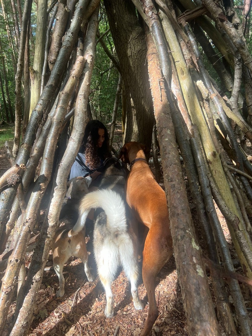 Walker and dogs exploring a woodland den on an adventure